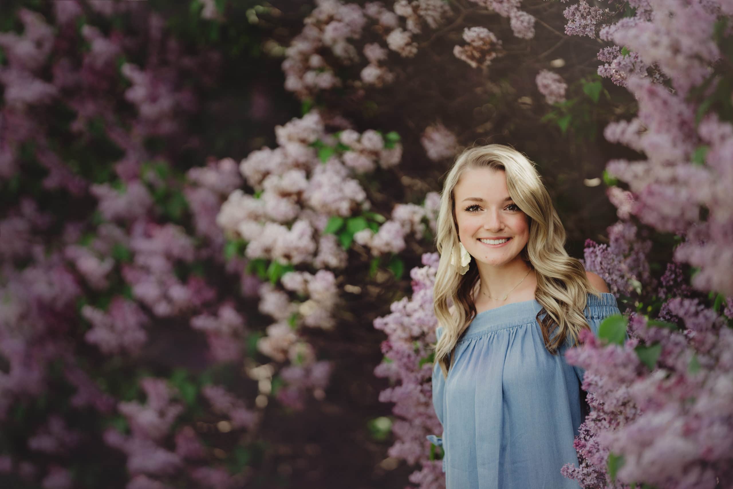 high school senior girl dressed in blue in front of lilac bushes